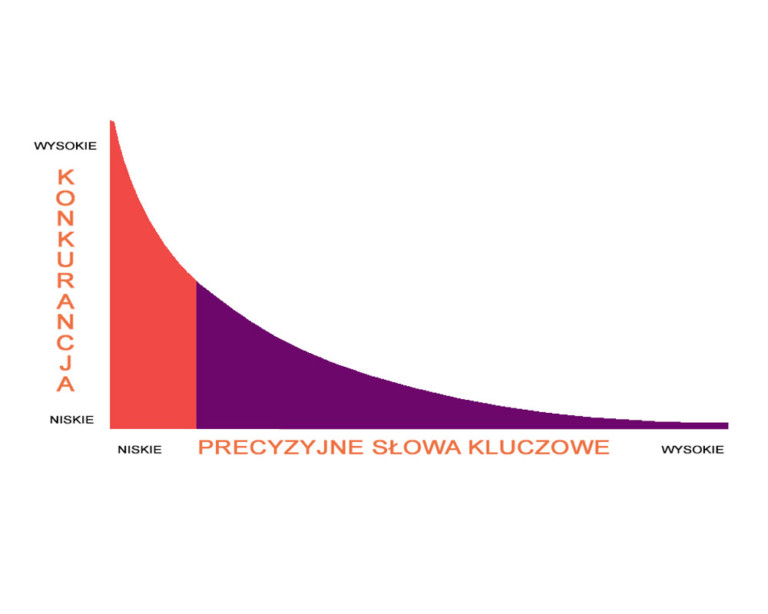 Pozycjonowanie na długi ogon