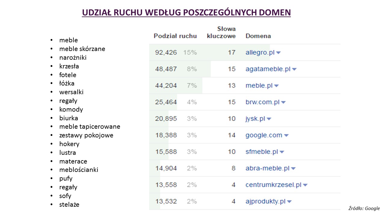 rynek meblowy w polsce udział ruchu wg. domen